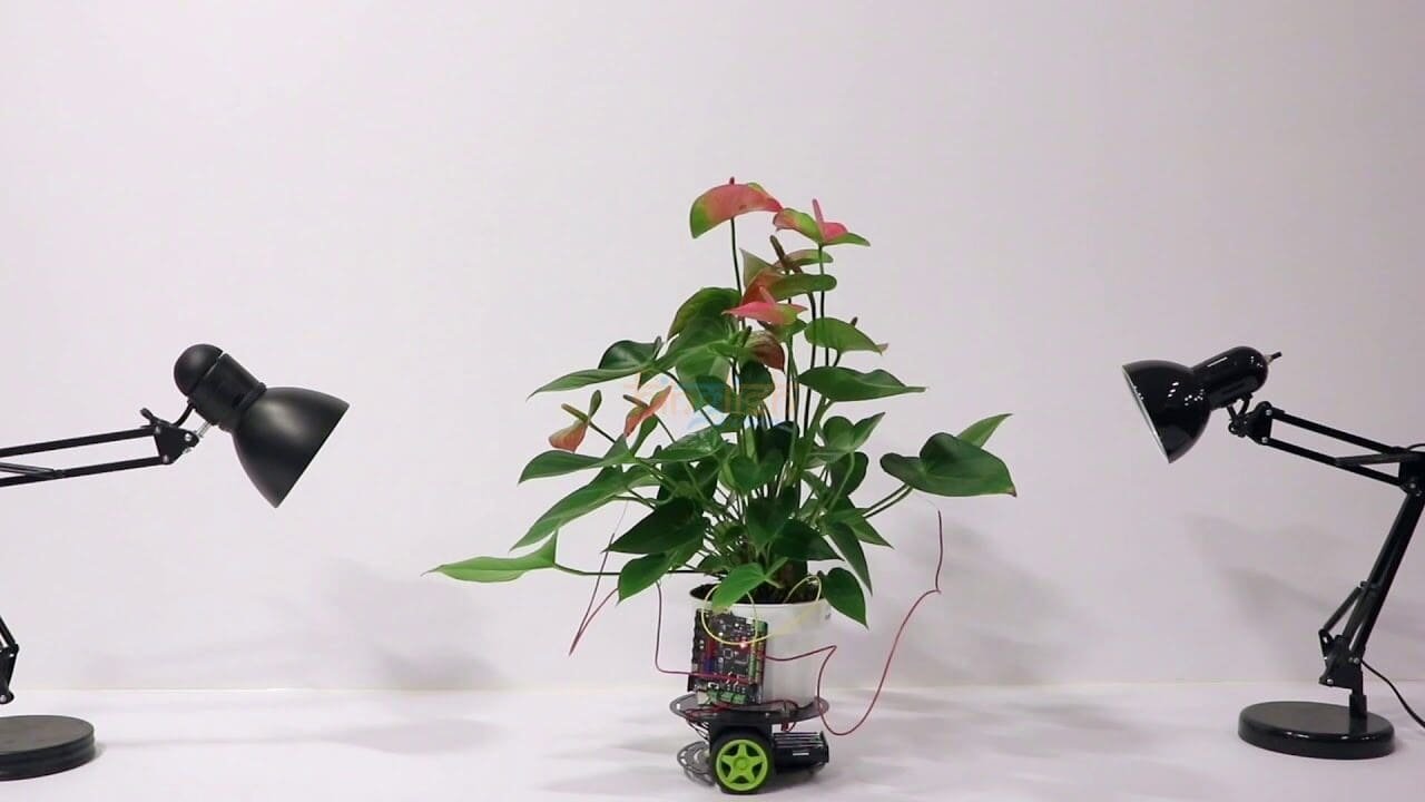 robo plant technology
